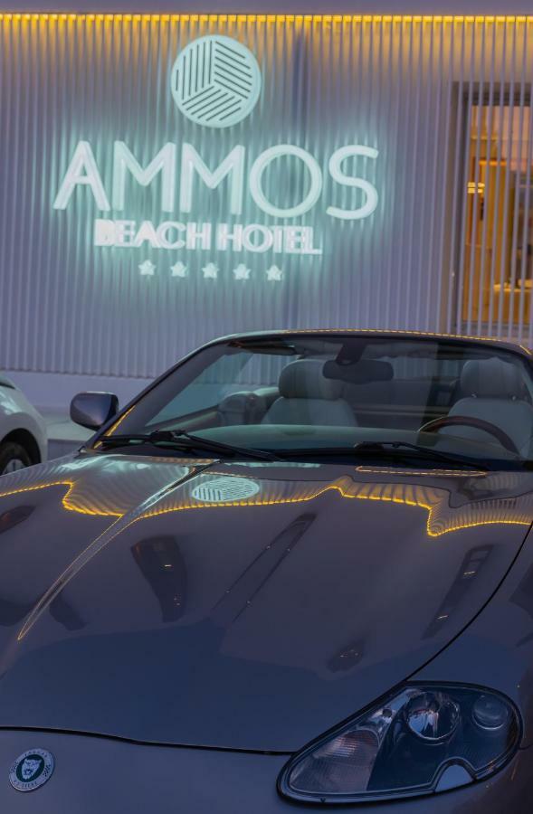 Enorme Ammos Beach Resort Malia Extérieur photo
